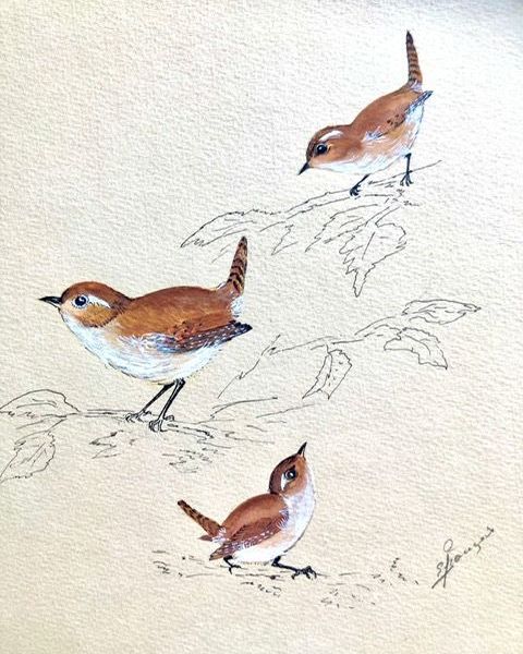 Photo 776887
